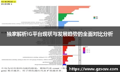 bellbet贝博APP