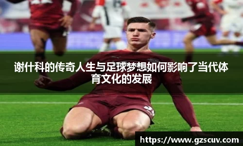 bellbet贝博首页