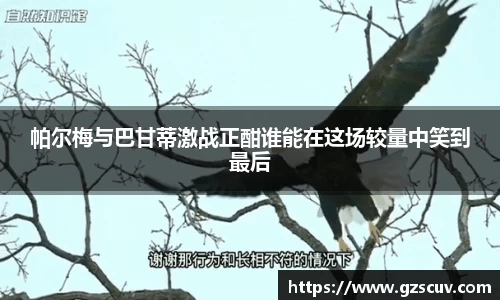 bellbet贝博