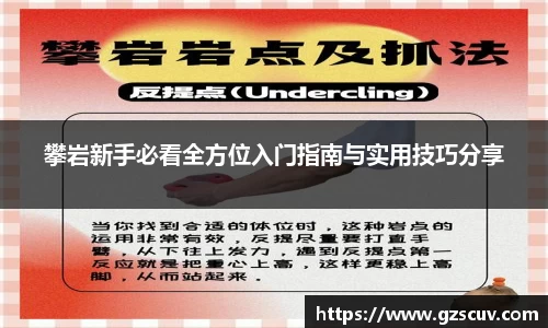 bellbet贝博首页